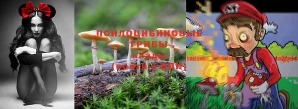 стафф Абдулино